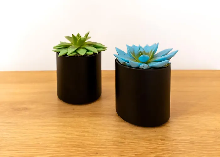 New! Oldie But Goldie Apartamento *