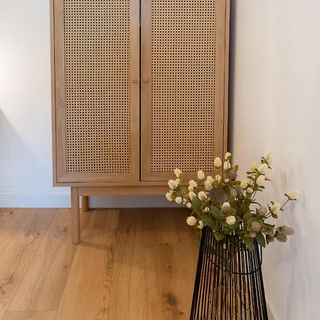 New! Oldie But Goldie Apartament